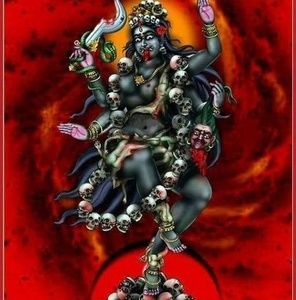 Meet your Posher, Veena